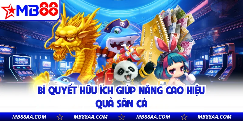 Bí quyết hữu ích giúp nâng cao hiệu quả săn cá