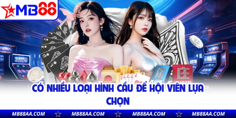 Có nhiều loại hình cầu để hội viên lựa chọn