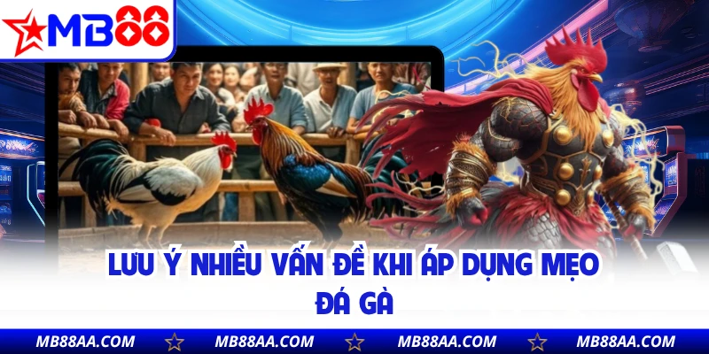 Lưu ý nhiều vấn đề khi áp dụng mẹo đá gà